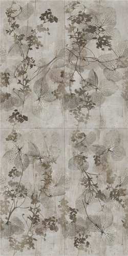 Silver Tree 60x120 Silver Tree 60x120